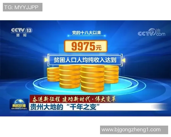 成都排球队战术变革引发热议助力球队新征程