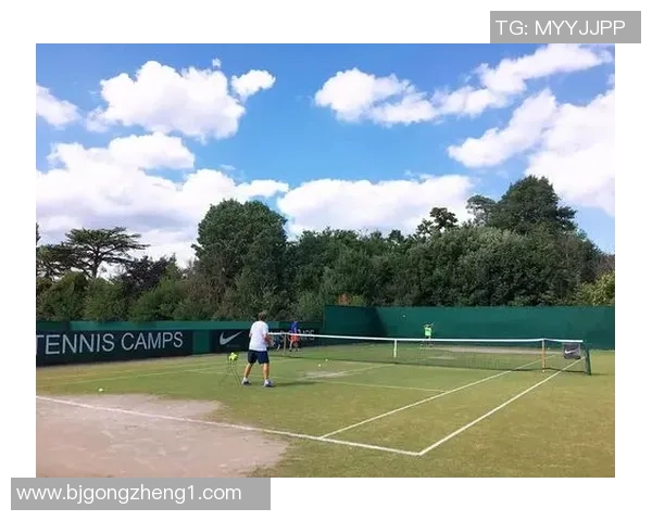 深度对话：探索陈娜的网球生涯与人生哲学之旅