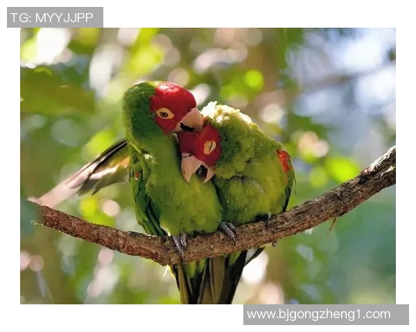 足球明星与他的男友携手共度甜蜜时光展现爱情与事业的双重辉煌